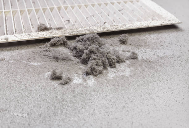 Best Local Air Duct Cleaning Services  in Abram, TX