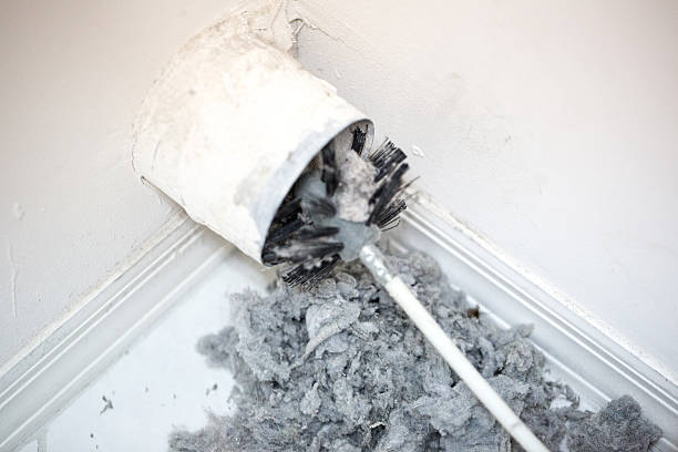 Best Duct Cleaning Specialists  in Abram, TX